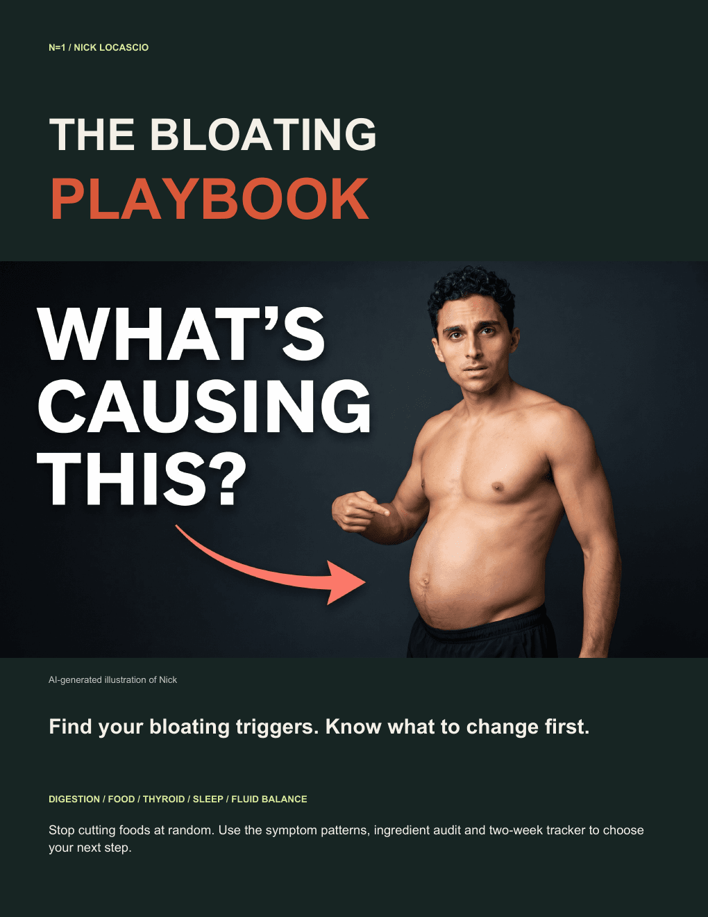 Cover of The Bloating Playbook by Nick Locascio